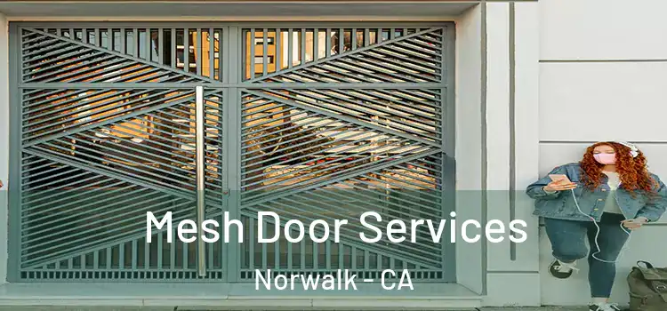 Mesh Door Services Norwalk - CA